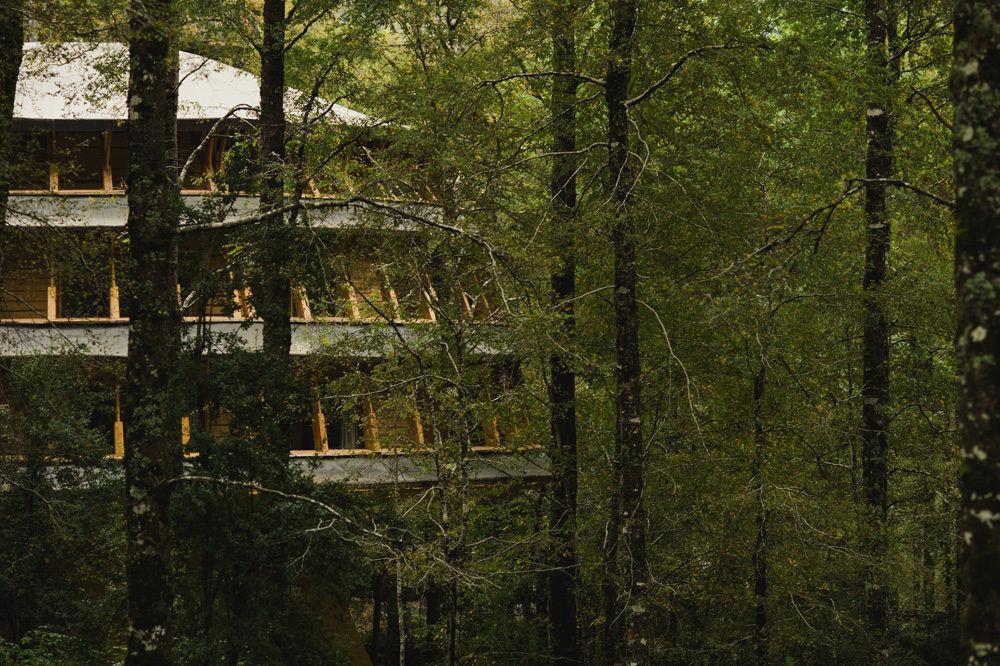 Huilo Huilo Reino Fungi Villa Puerto Fuy Kültér fotó