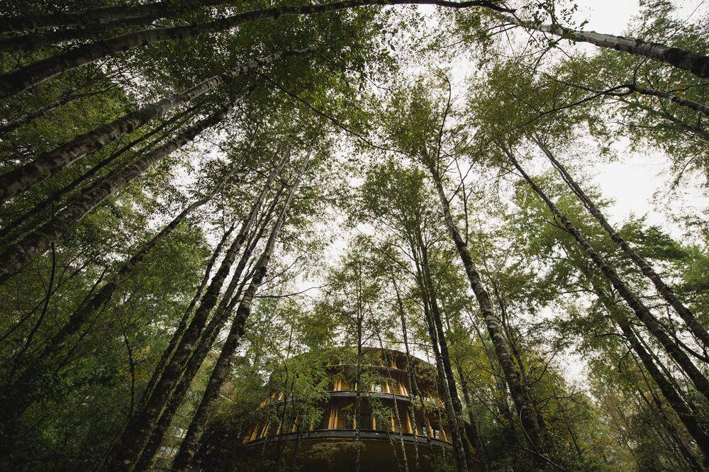 Huilo Huilo Reino Fungi Villa Puerto Fuy Kültér fotó