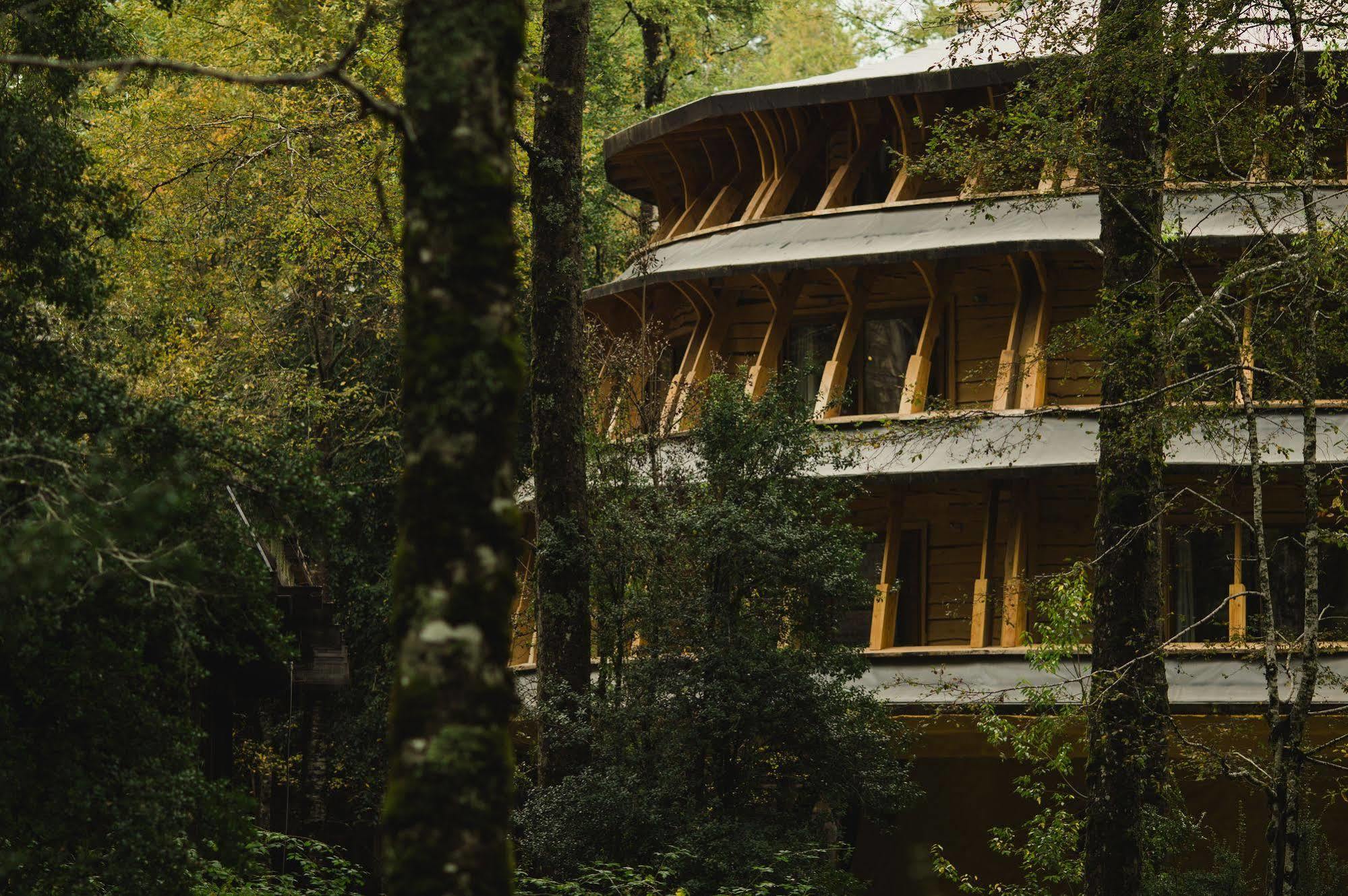Huilo Huilo Reino Fungi Villa Puerto Fuy Kültér fotó