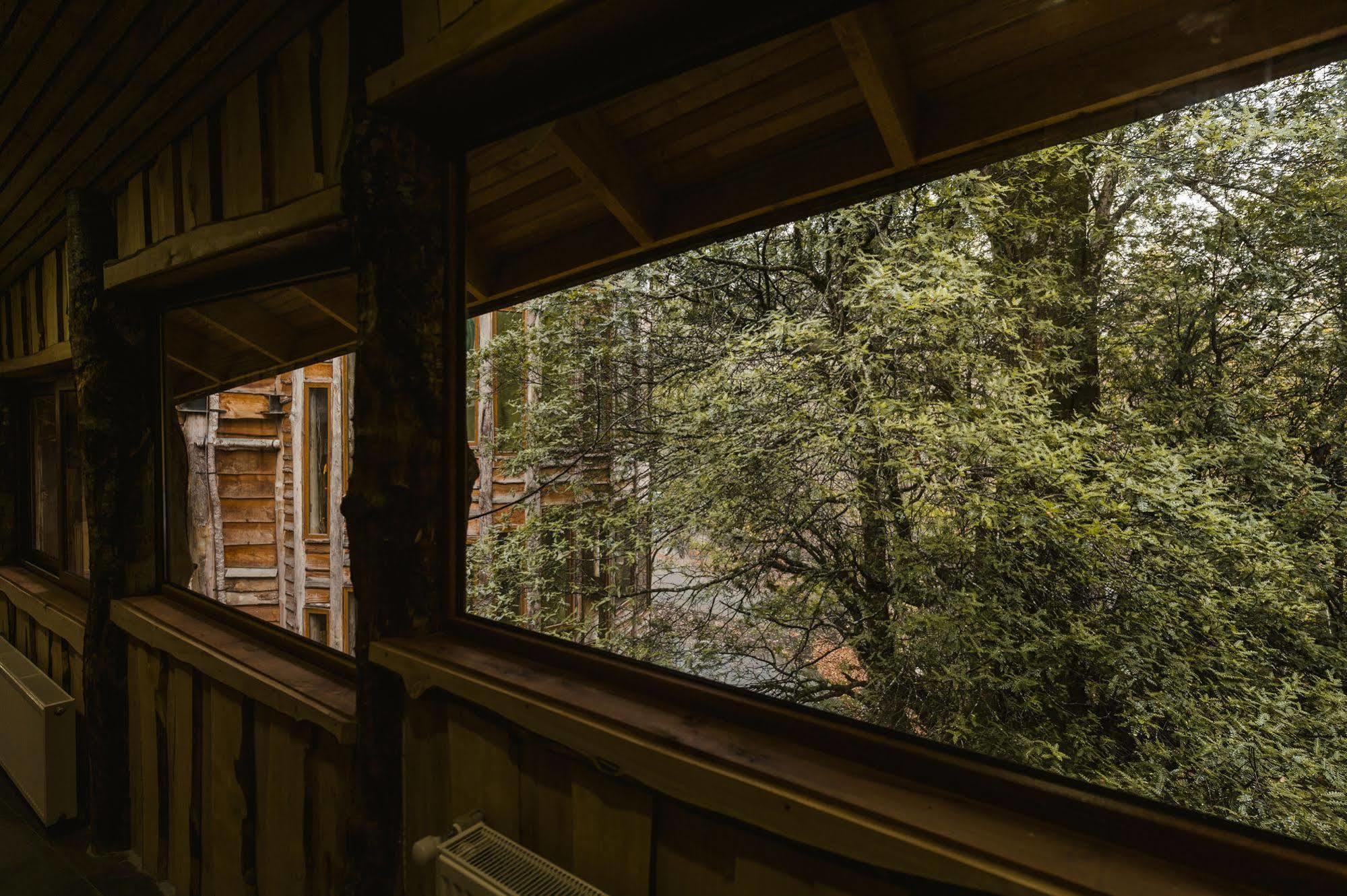 Huilo Huilo Reino Fungi Villa Puerto Fuy Kültér fotó